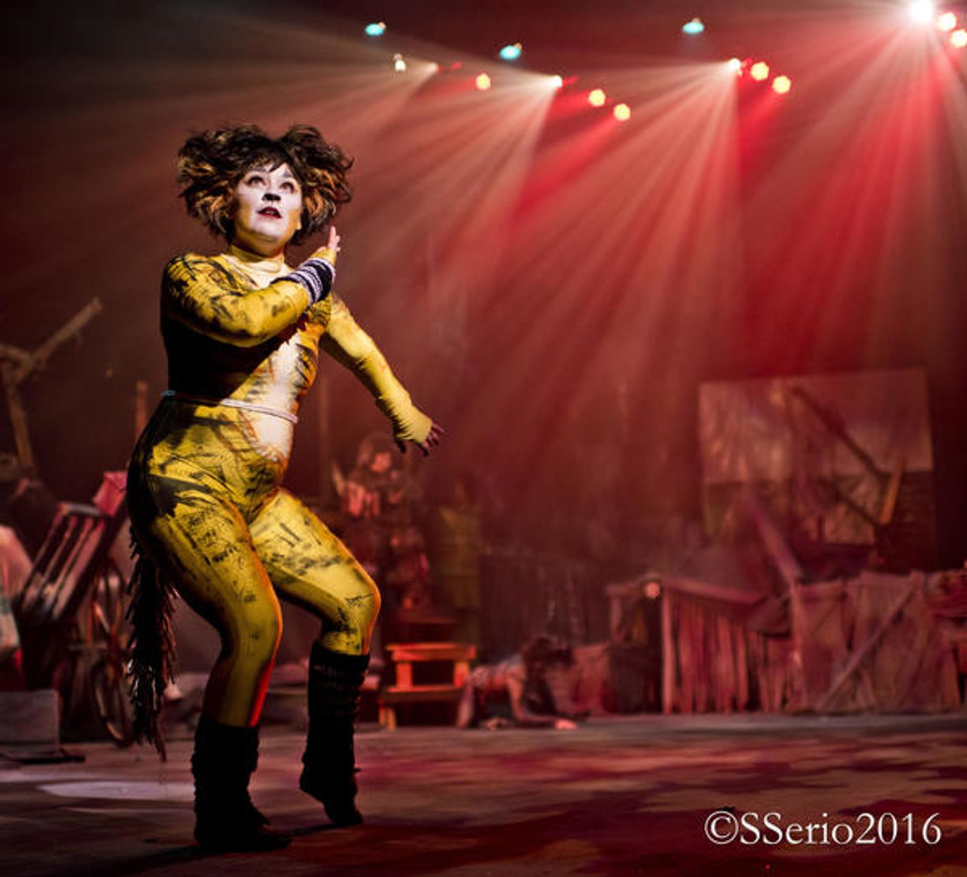 BWW Preview: CATS THE MUSICAL at Milburn Stone Theatre  Image