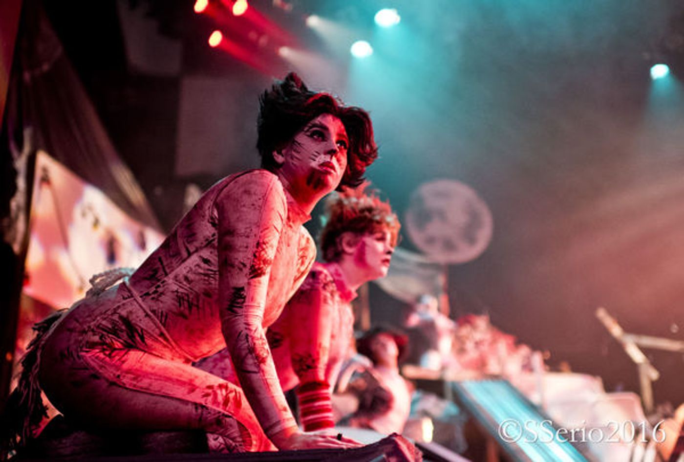 BWW Preview: CATS THE MUSICAL at Milburn Stone Theatre  Image