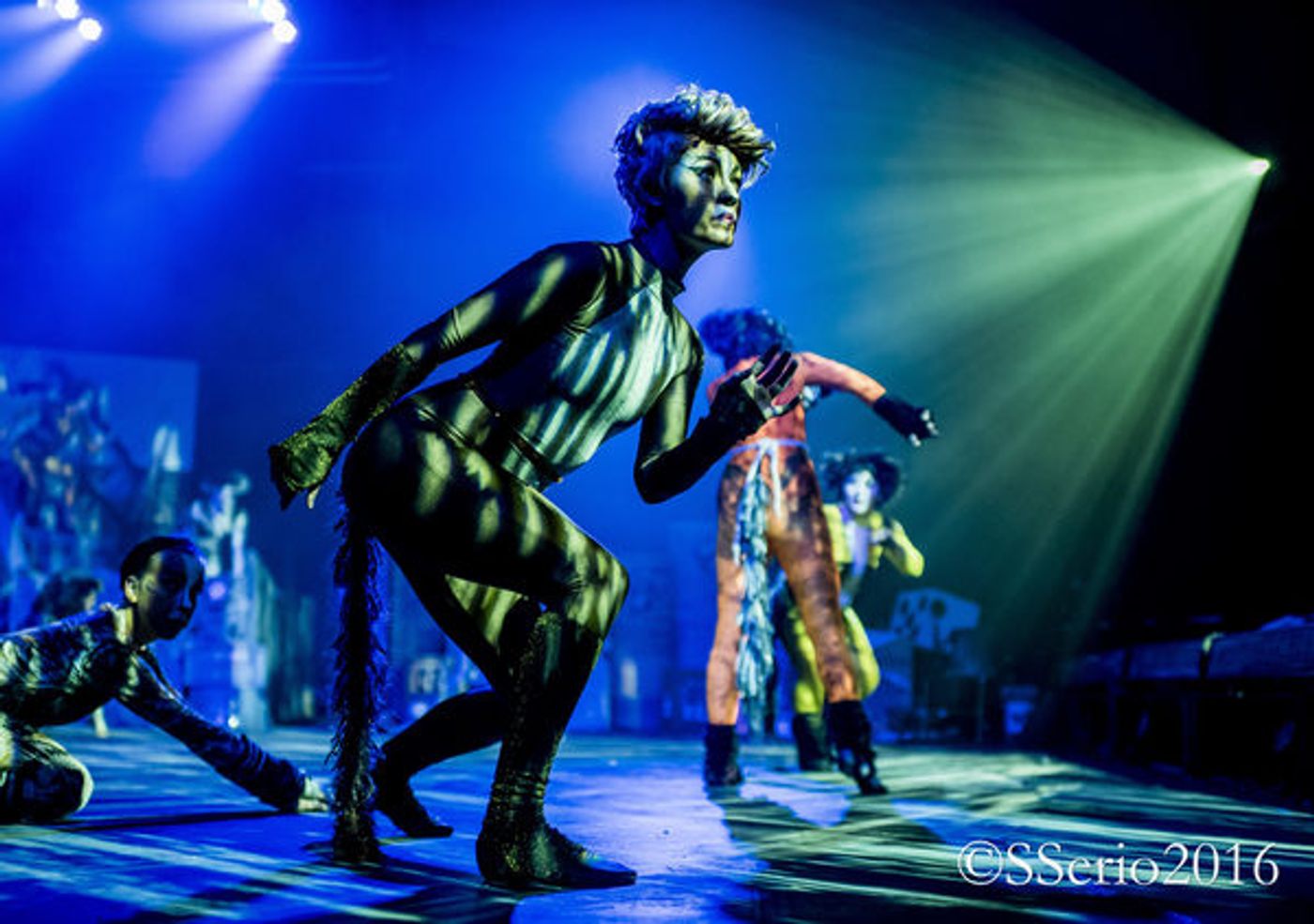 BWW Preview: CATS THE MUSICAL at Milburn Stone Theatre  Image