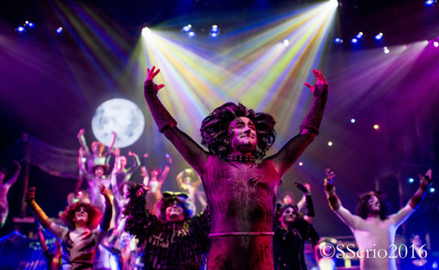 BWW Preview: CATS THE MUSICAL at Milburn Stone Theatre  Image