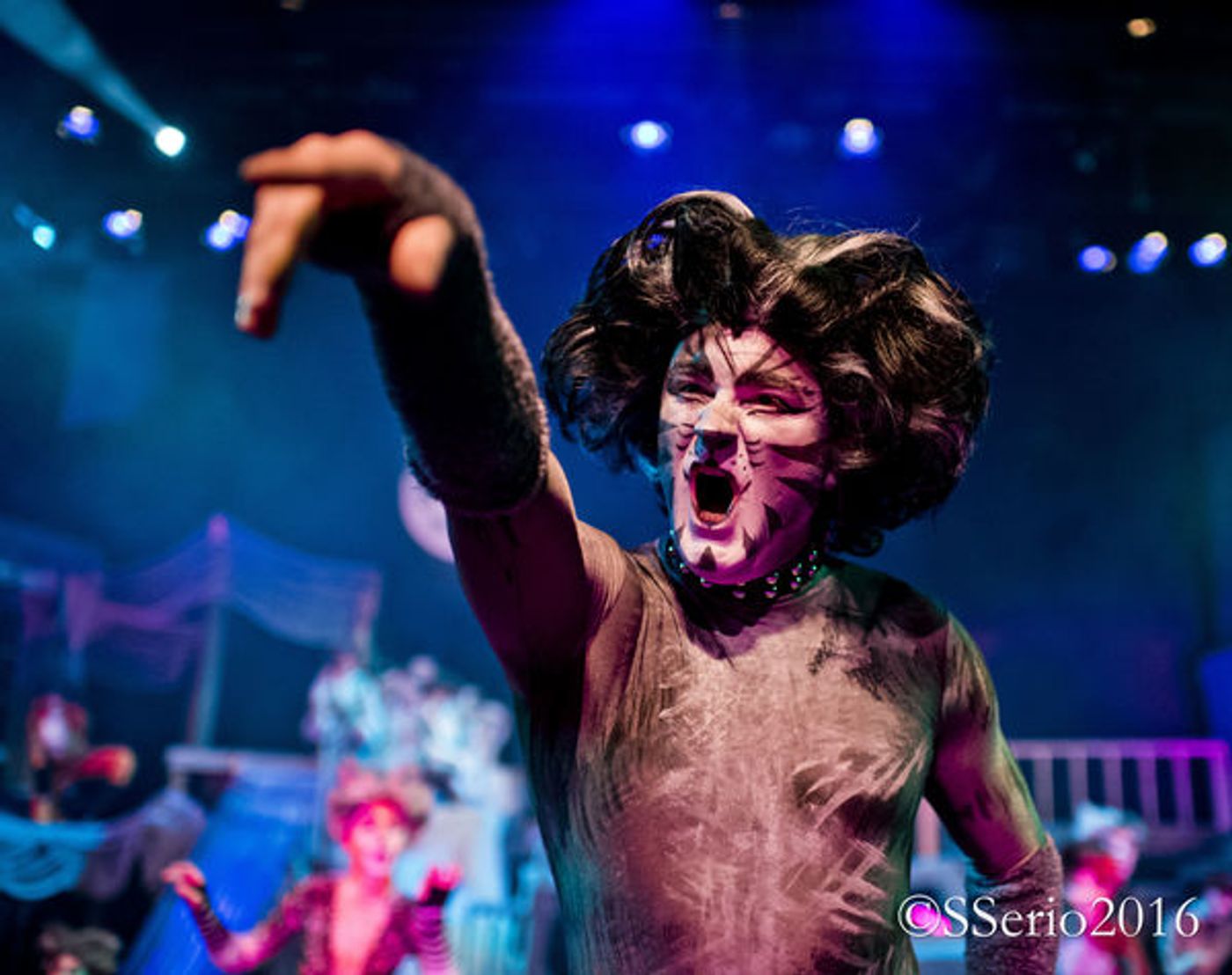 BWW Preview: CATS THE MUSICAL at Milburn Stone Theatre  Image