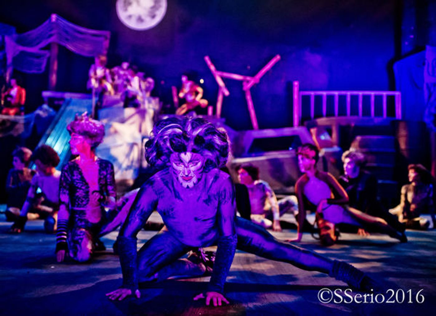 BWW Preview: CATS THE MUSICAL at Milburn Stone Theatre  Image
