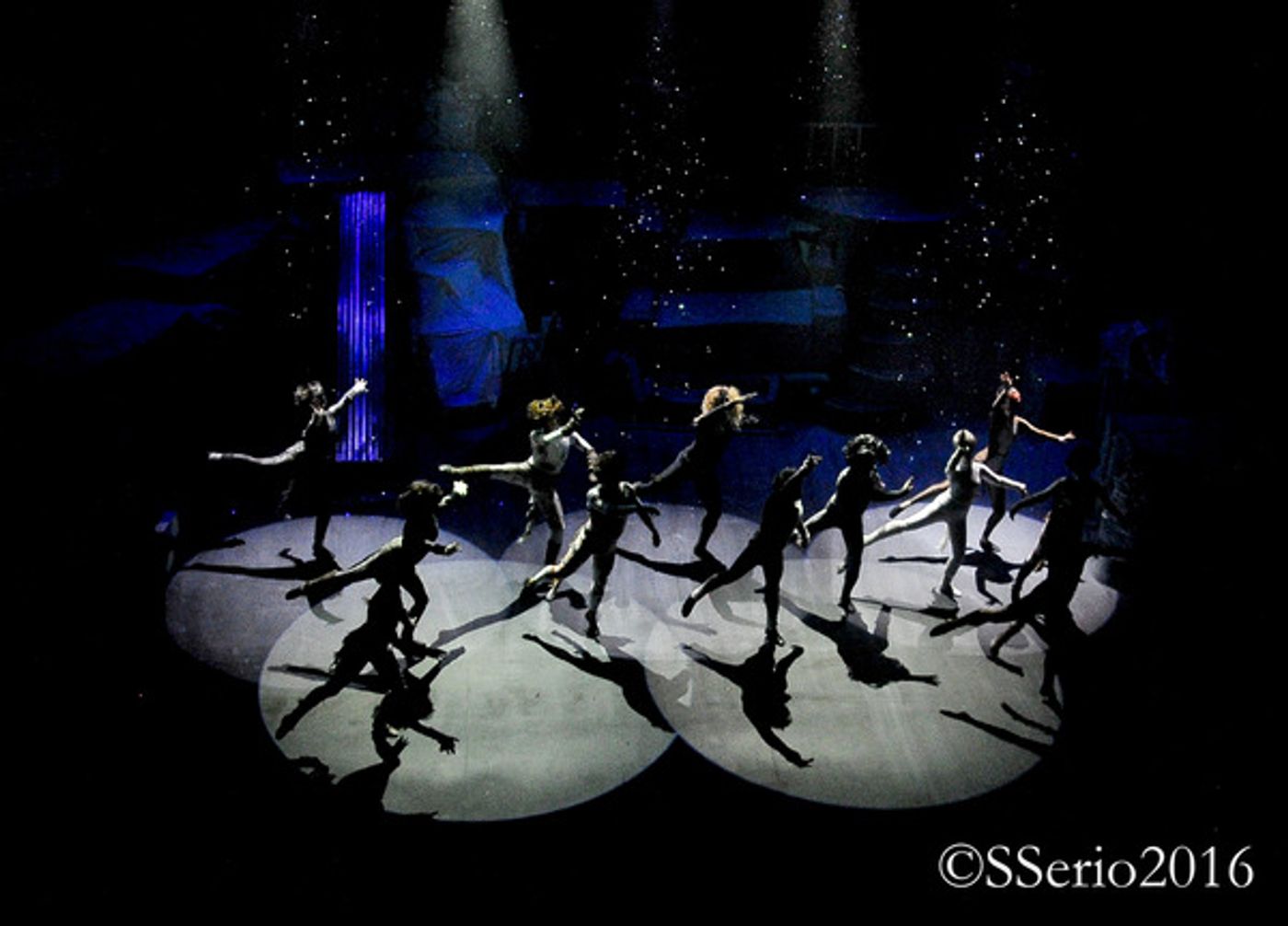 BWW Preview: CATS THE MUSICAL at Milburn Stone Theatre  Image