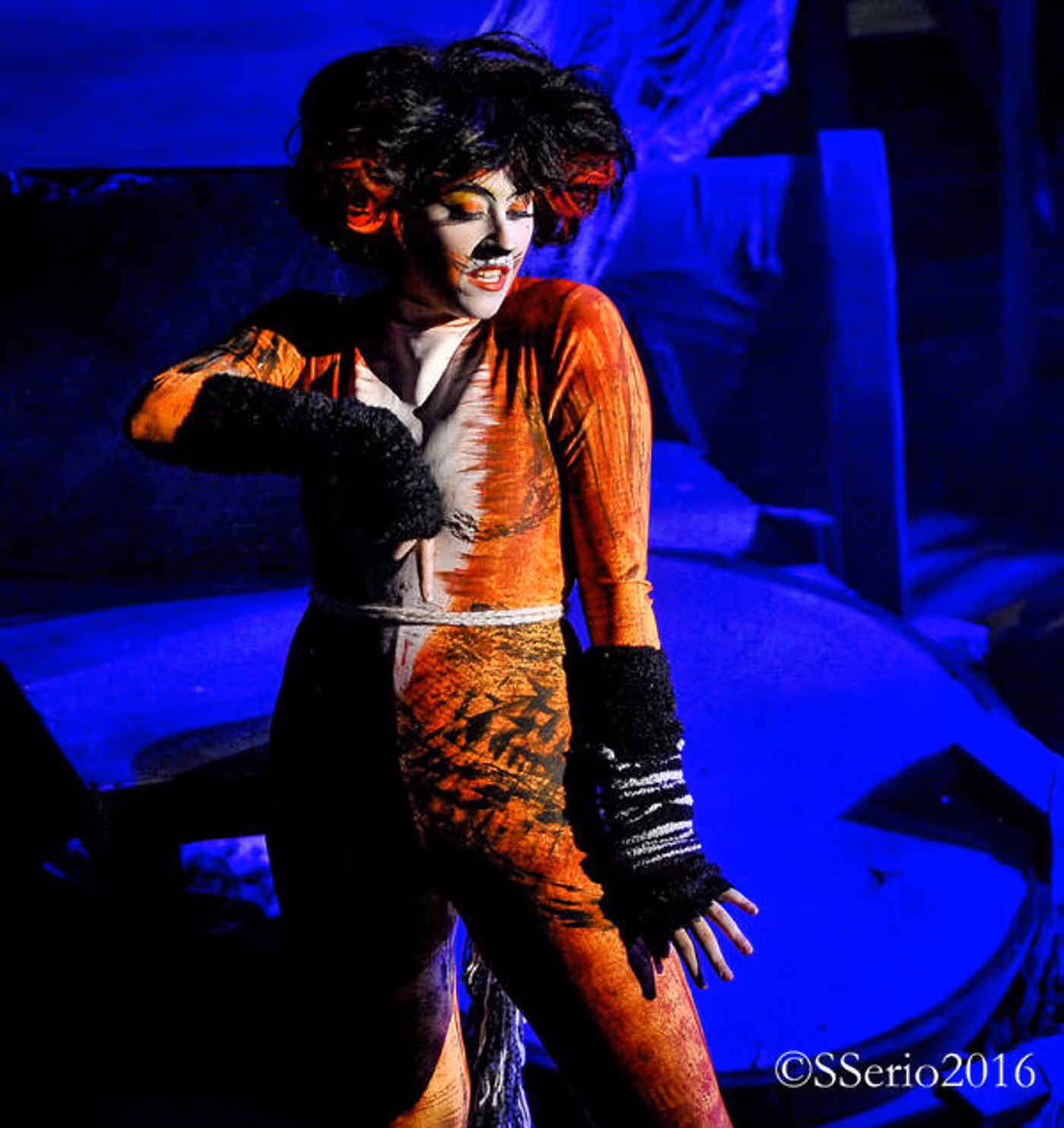 BWW Preview: CATS THE MUSICAL at Milburn Stone Theatre  Image
