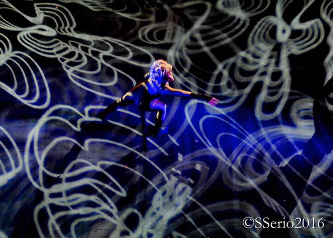 BWW Preview: CATS THE MUSICAL at Milburn Stone Theatre  Image