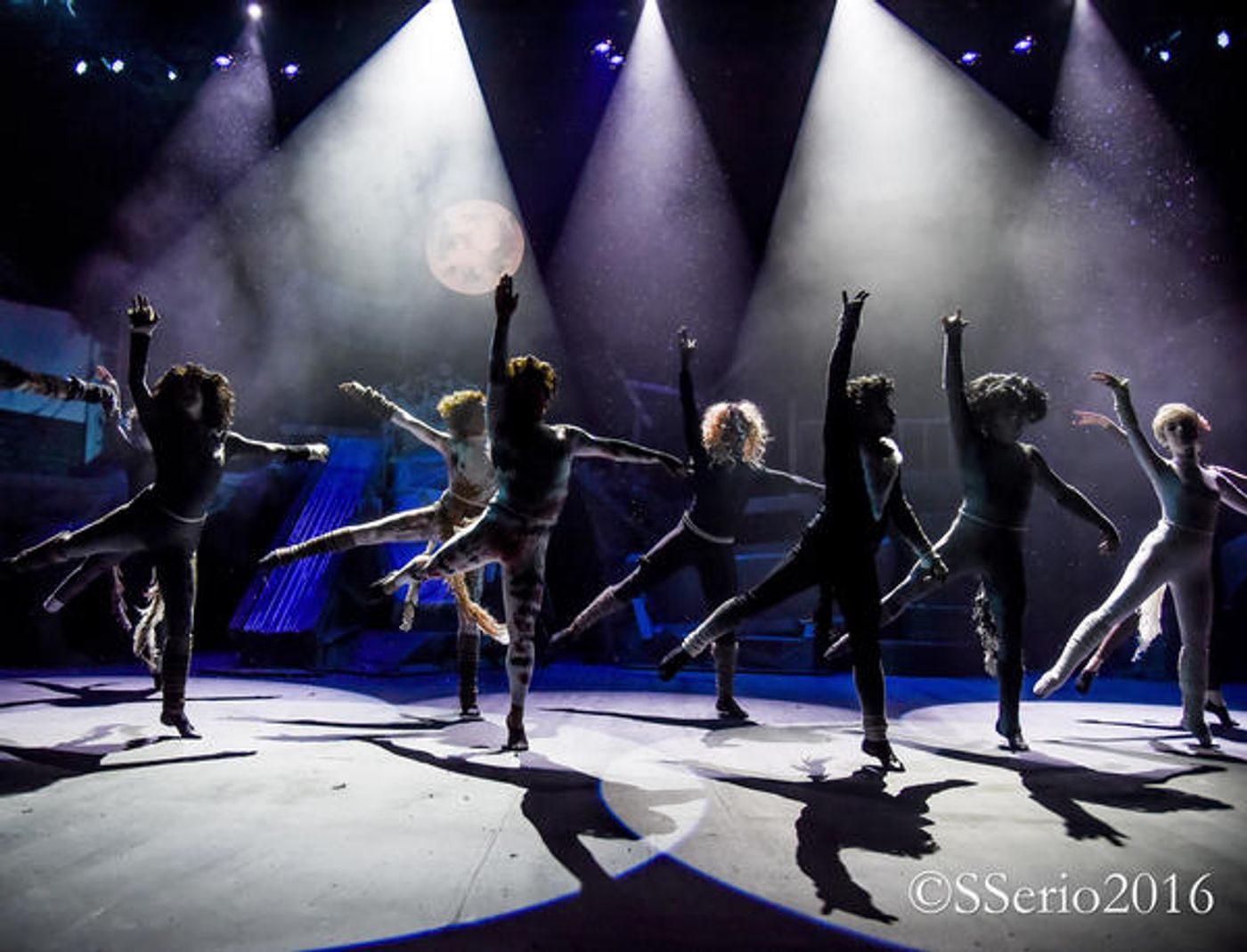 BWW Preview: CATS THE MUSICAL at Milburn Stone Theatre  Image