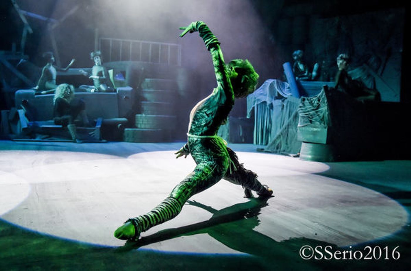 BWW Preview: CATS THE MUSICAL at Milburn Stone Theatre  Image
