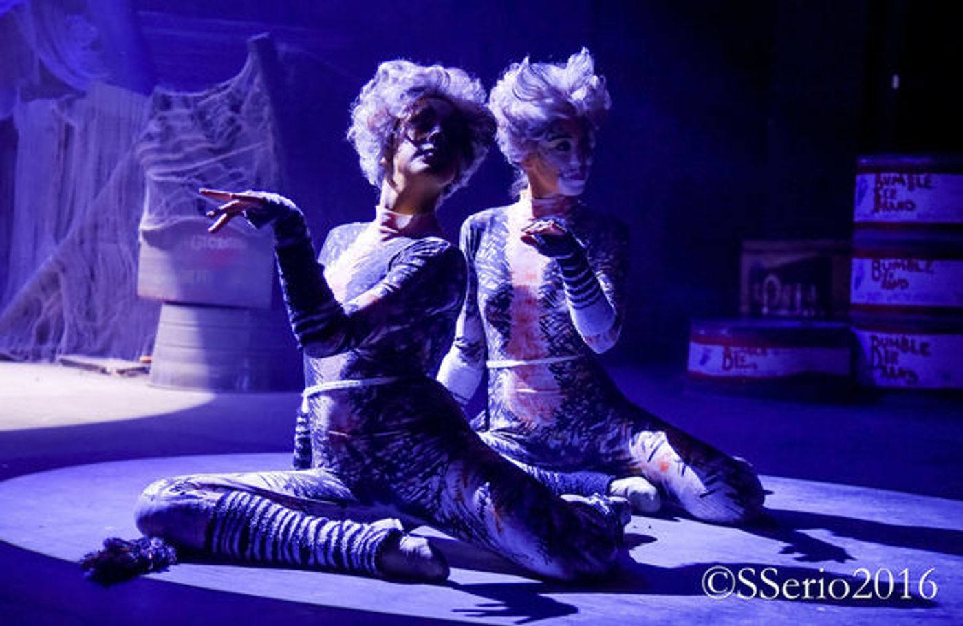 BWW Preview: CATS THE MUSICAL at Milburn Stone Theatre  Image