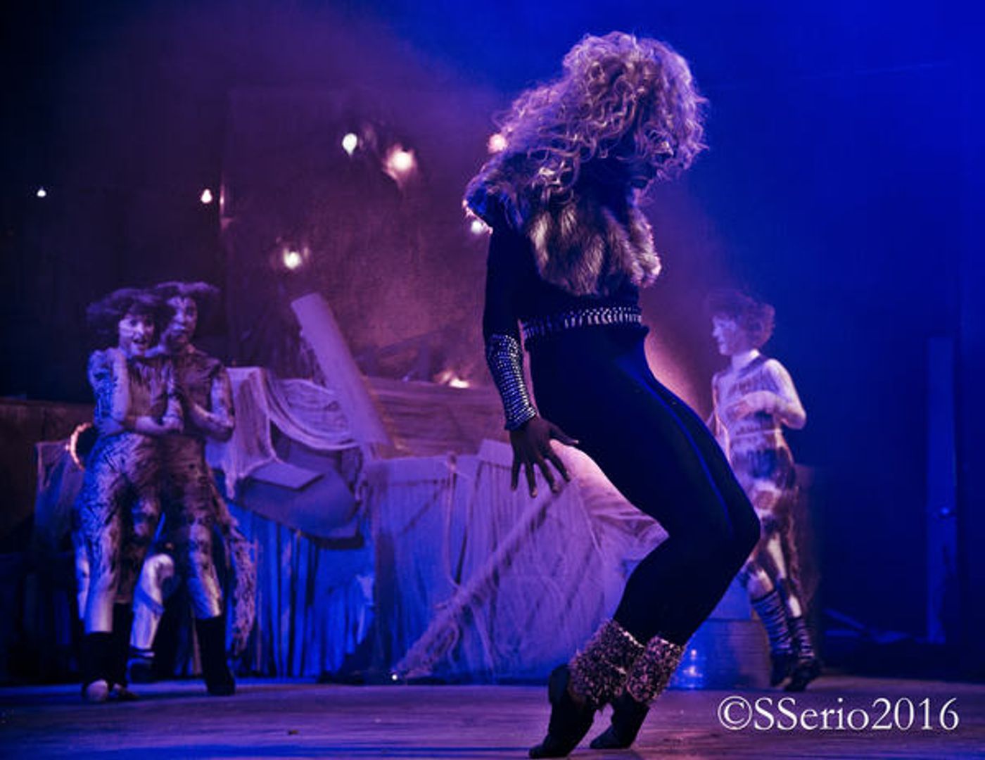 BWW Preview: CATS THE MUSICAL at Milburn Stone Theatre  Image