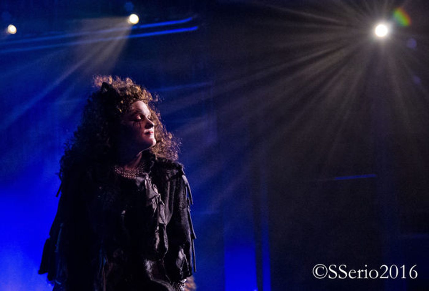 BWW Preview: CATS THE MUSICAL at Milburn Stone Theatre  Image