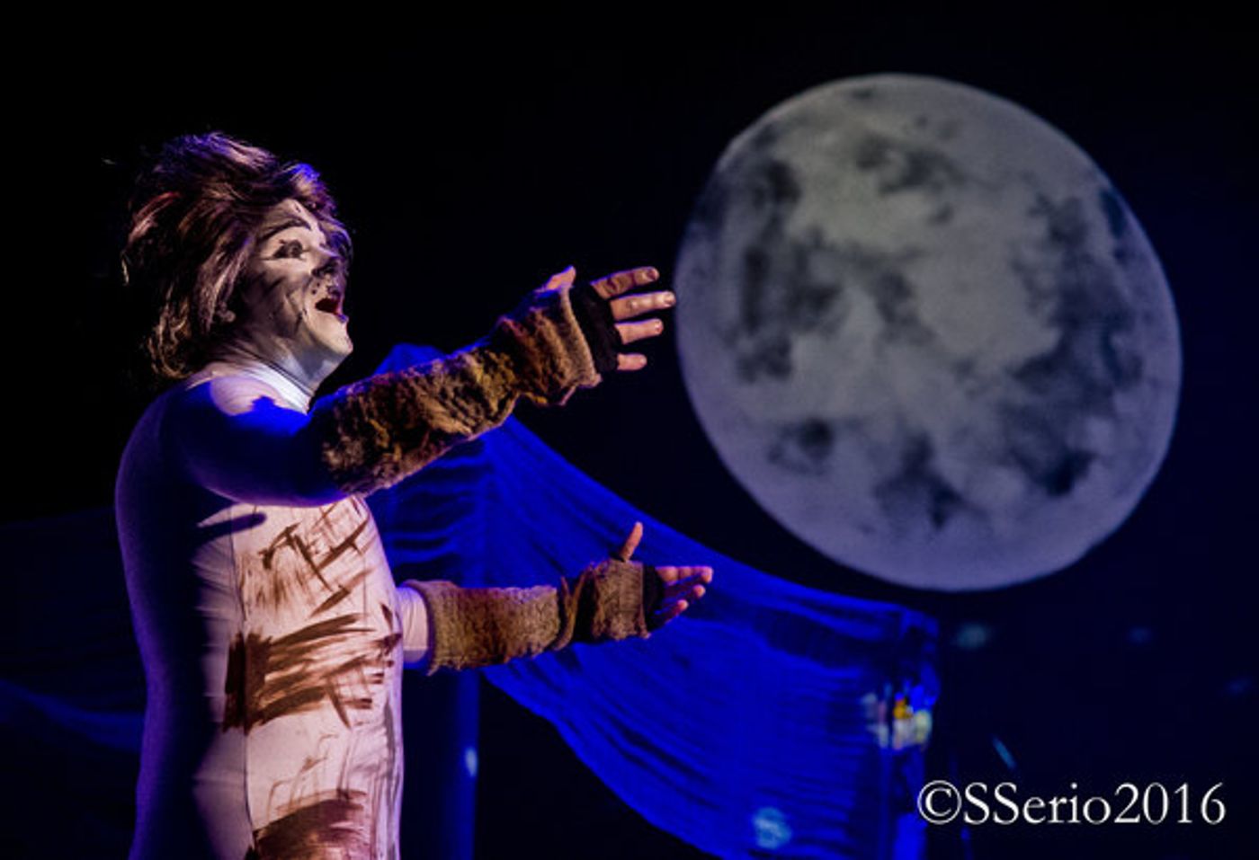 BWW Preview: CATS THE MUSICAL at Milburn Stone Theatre  Image