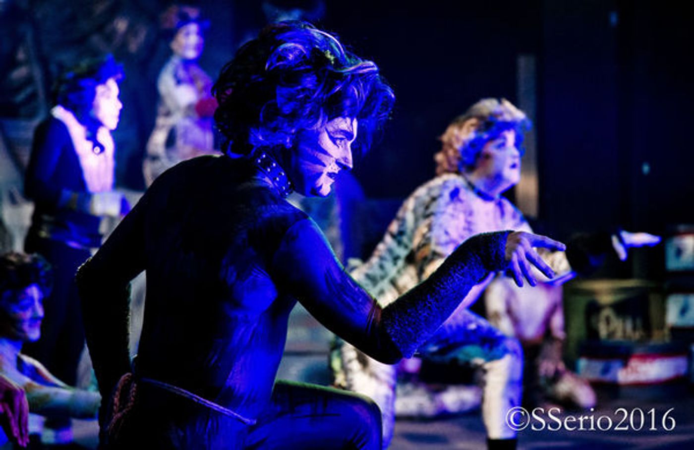 BWW Preview: CATS THE MUSICAL at Milburn Stone Theatre  Image