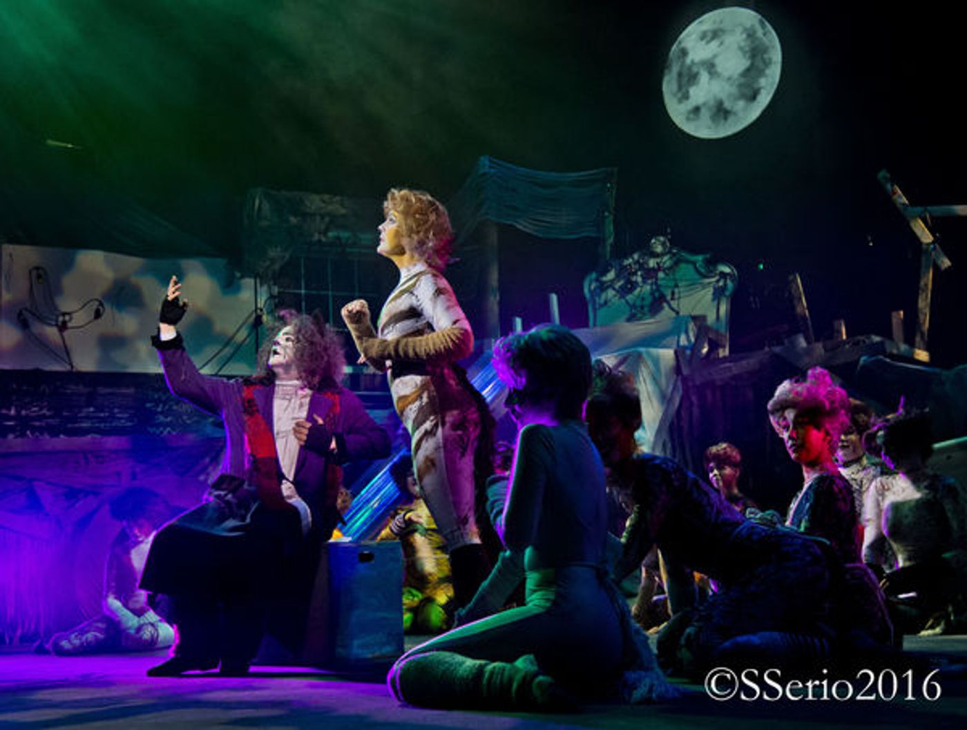 BWW Preview: CATS THE MUSICAL at Milburn Stone Theatre  Image