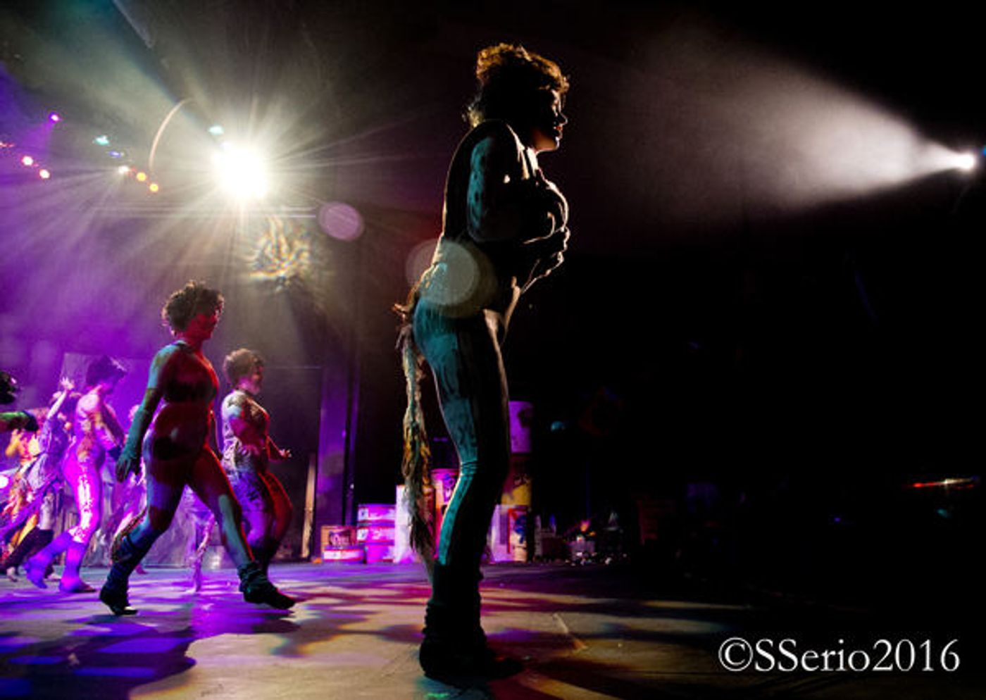 BWW Preview: CATS THE MUSICAL at Milburn Stone Theatre  Image