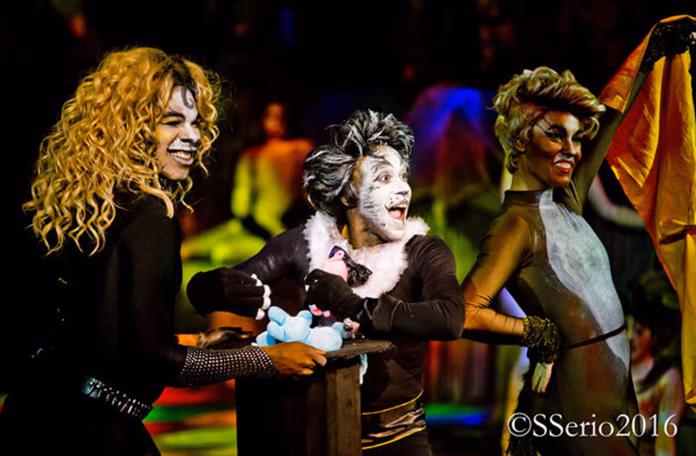 BWW Preview: CATS THE MUSICAL at Milburn Stone Theatre  Image