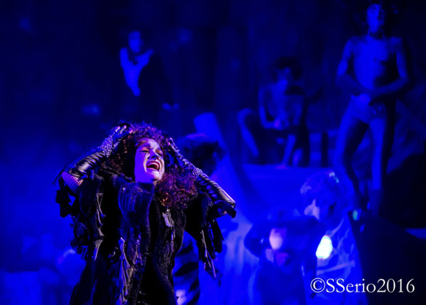 BWW Preview: CATS THE MUSICAL at Milburn Stone Theatre  Image