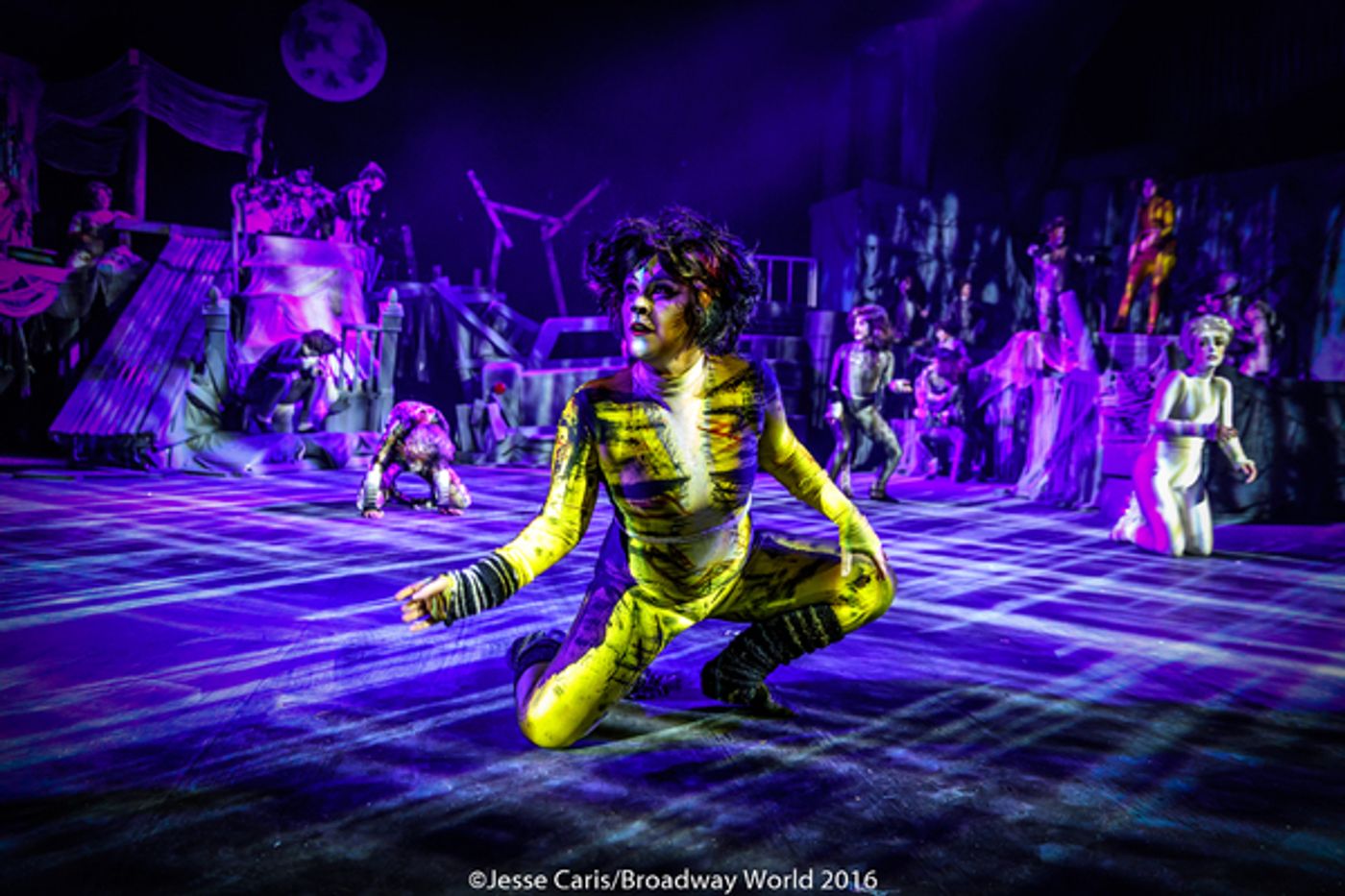 BWW Preview: CATS THE MUSICAL at Milburn Stone Theatre  Image