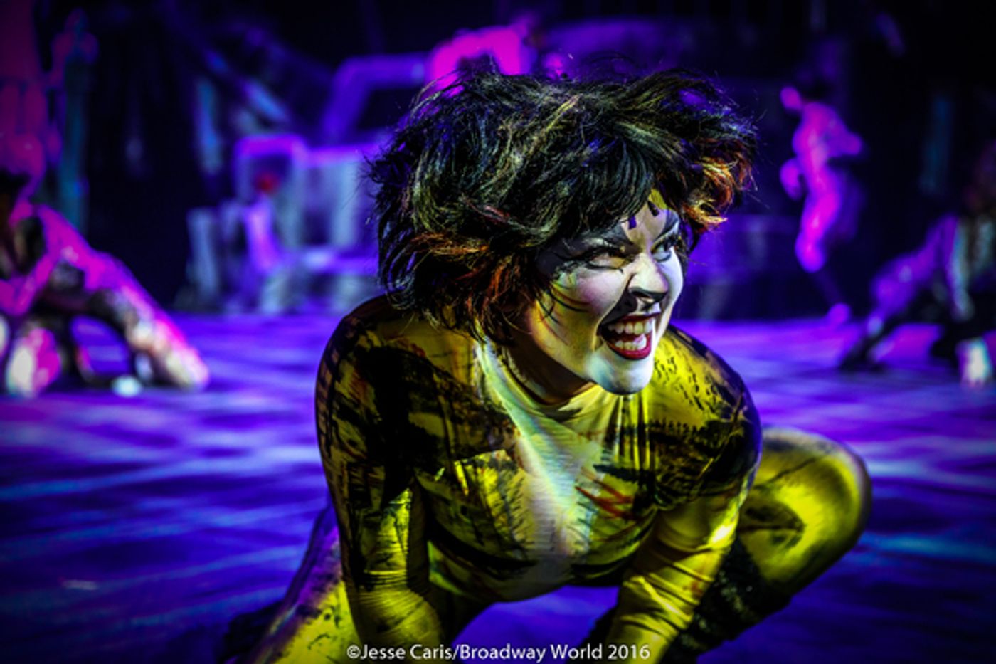 BWW Preview: CATS THE MUSICAL at Milburn Stone Theatre  Image