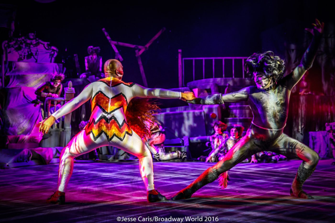 BWW Preview: CATS THE MUSICAL at Milburn Stone Theatre  Image