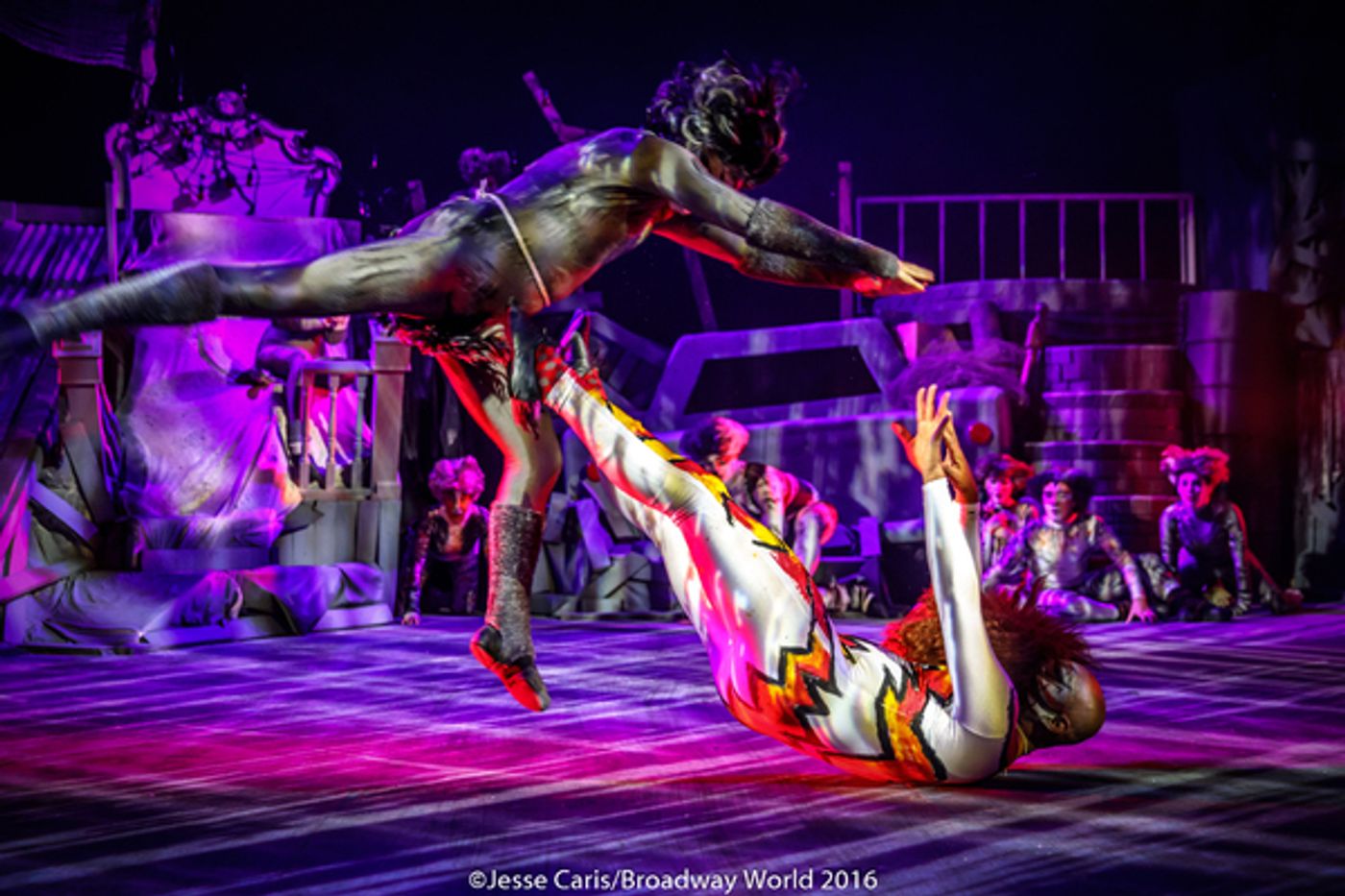 BWW Preview: CATS THE MUSICAL at Milburn Stone Theatre  Image