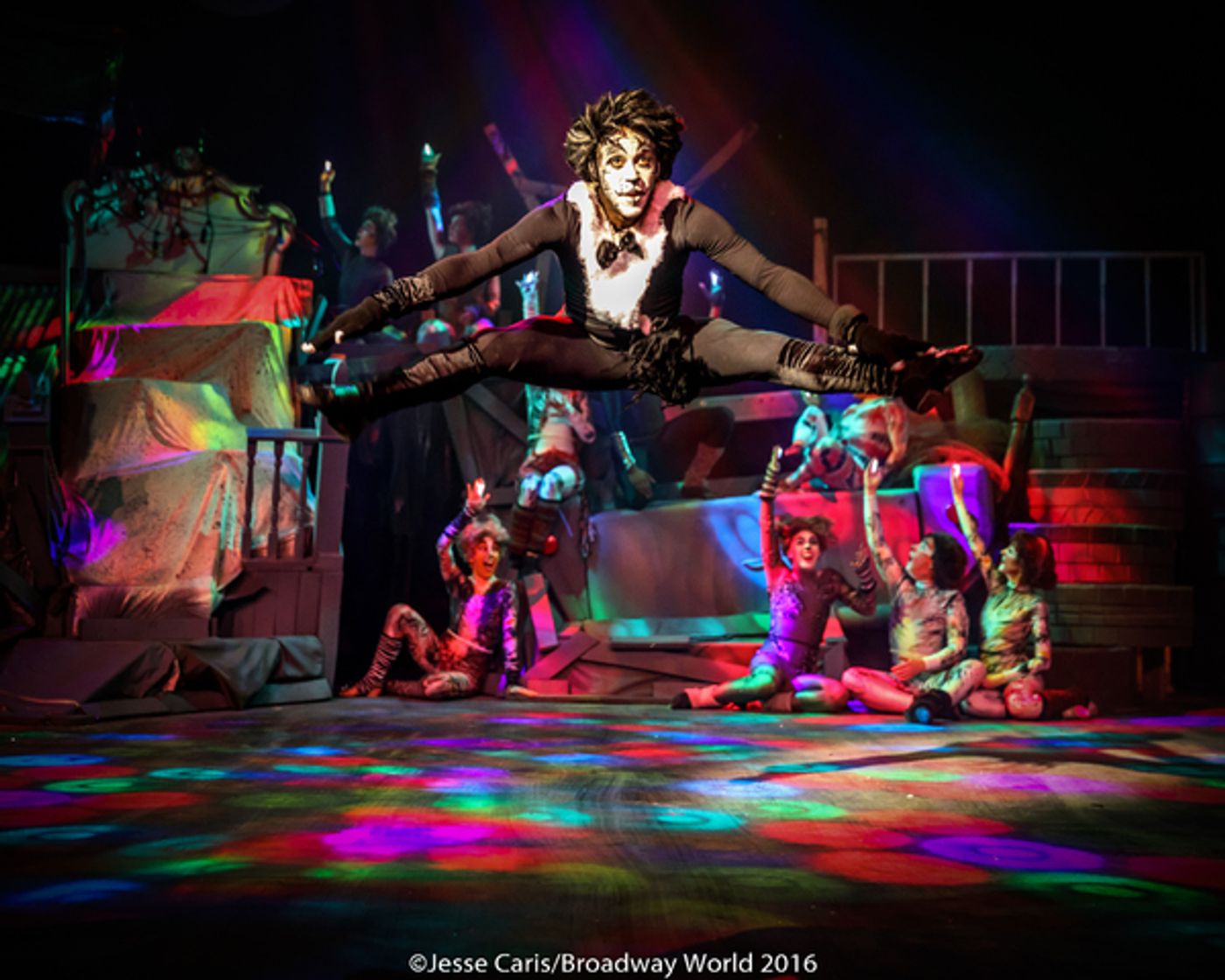 BWW Preview: CATS THE MUSICAL at Milburn Stone Theatre  Image