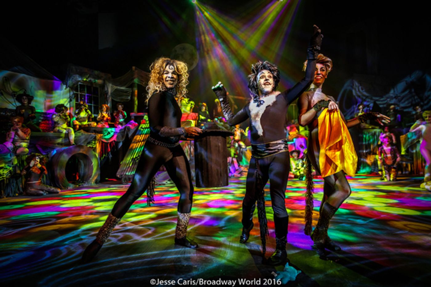 BWW Preview: CATS THE MUSICAL at Milburn Stone Theatre  Image