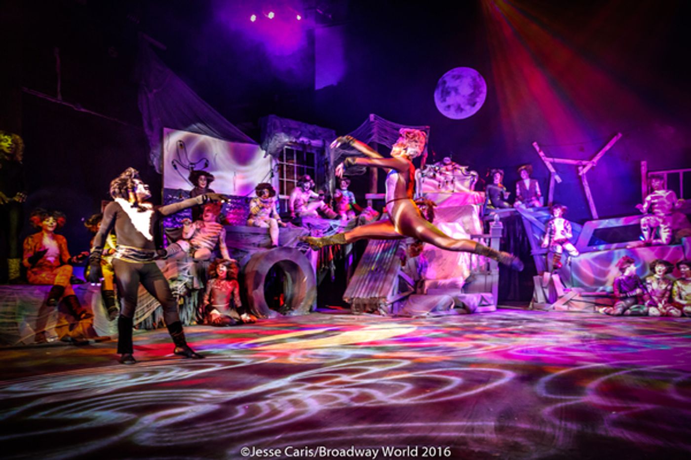 BWW Preview: CATS THE MUSICAL at Milburn Stone Theatre  Image