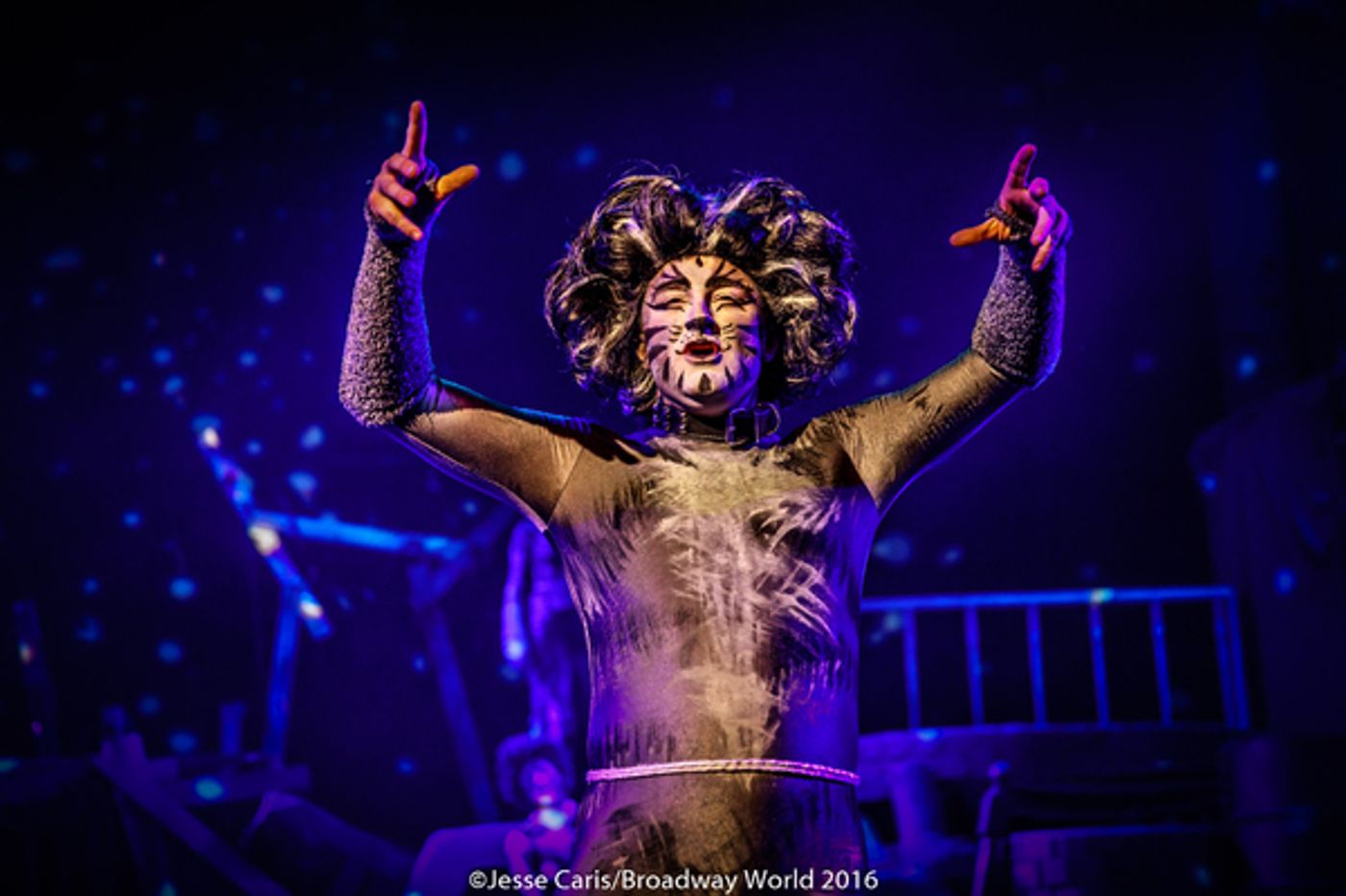 BWW Preview: CATS THE MUSICAL at Milburn Stone Theatre  Image