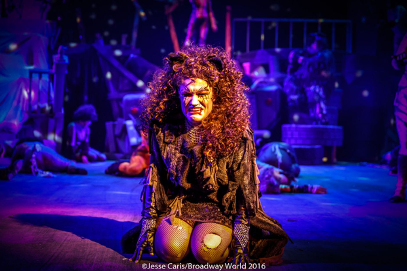 BWW Preview: CATS THE MUSICAL at Milburn Stone Theatre  Image