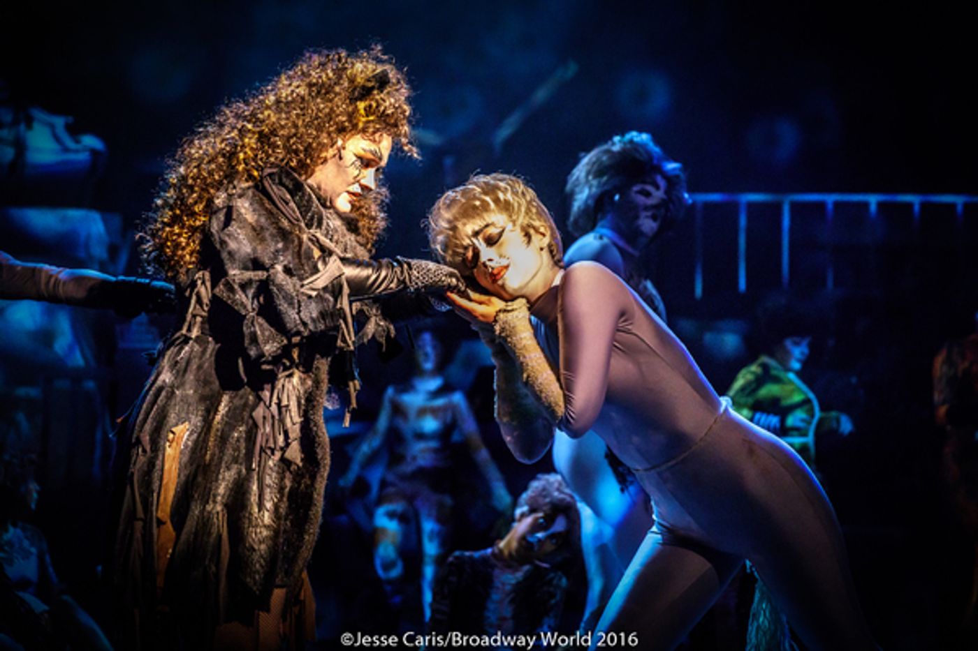 BWW Preview: CATS THE MUSICAL at Milburn Stone Theatre  Image