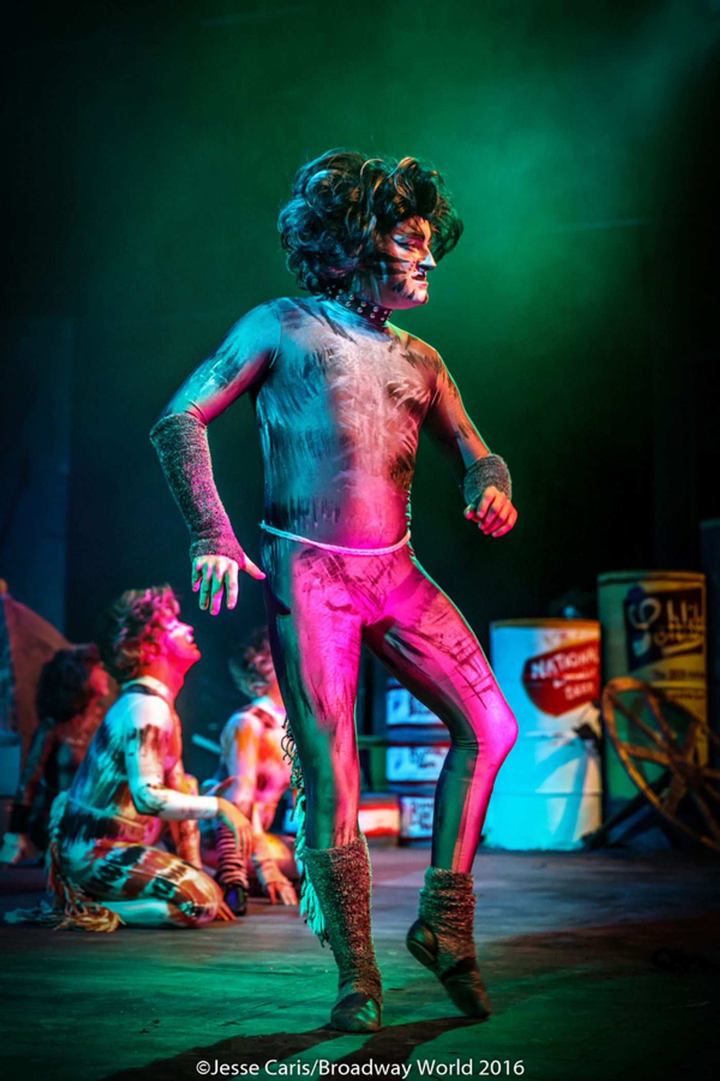 BWW Preview: CATS THE MUSICAL at Milburn Stone Theatre  Image