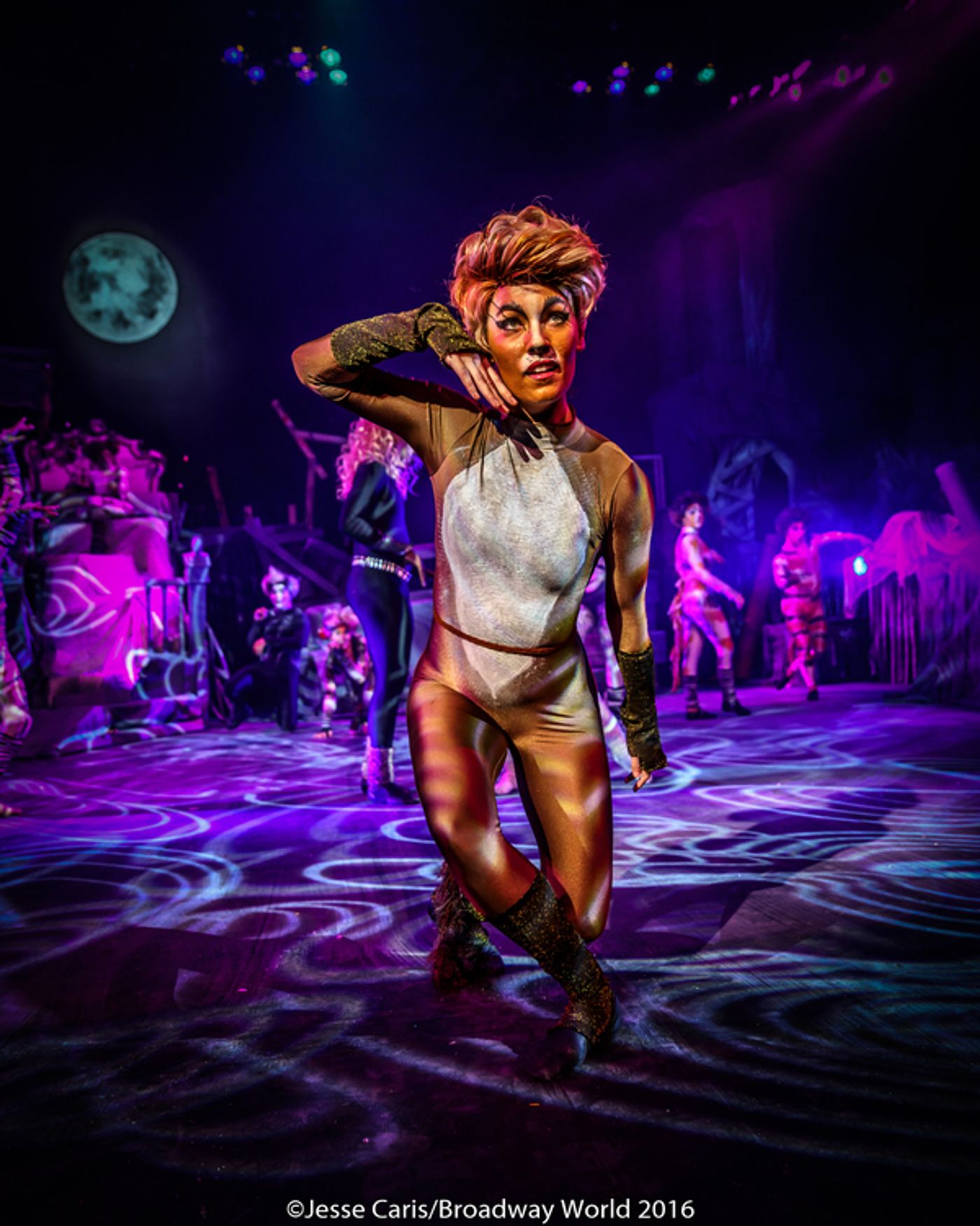 BWW Preview: CATS THE MUSICAL at Milburn Stone Theatre  Image