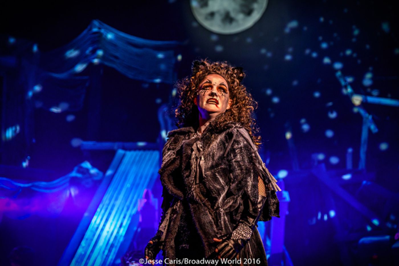 BWW Preview: CATS THE MUSICAL at Milburn Stone Theatre  Image