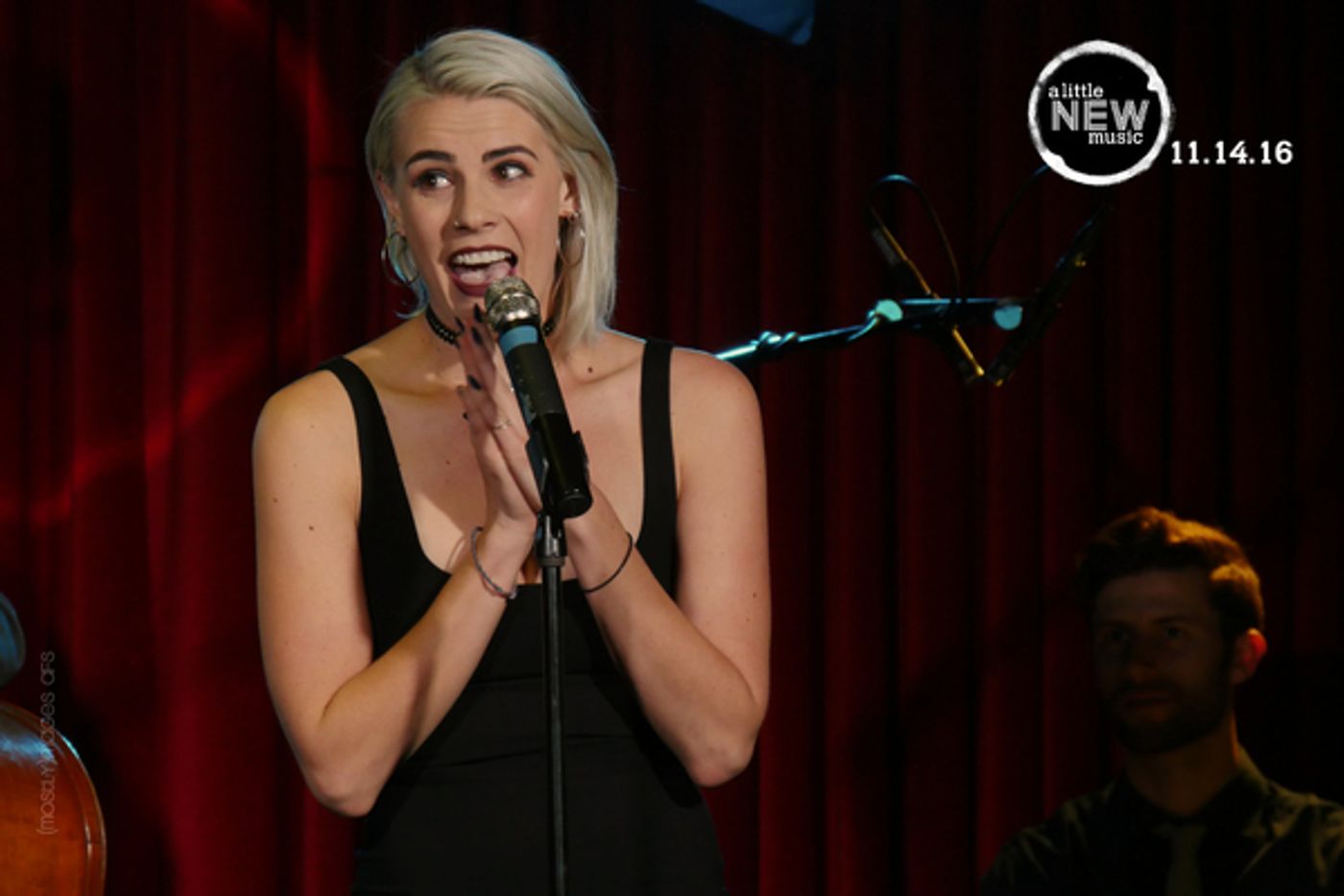 Photo Flash: A Little New Music's Return to the Catalina in Hollywood  Image