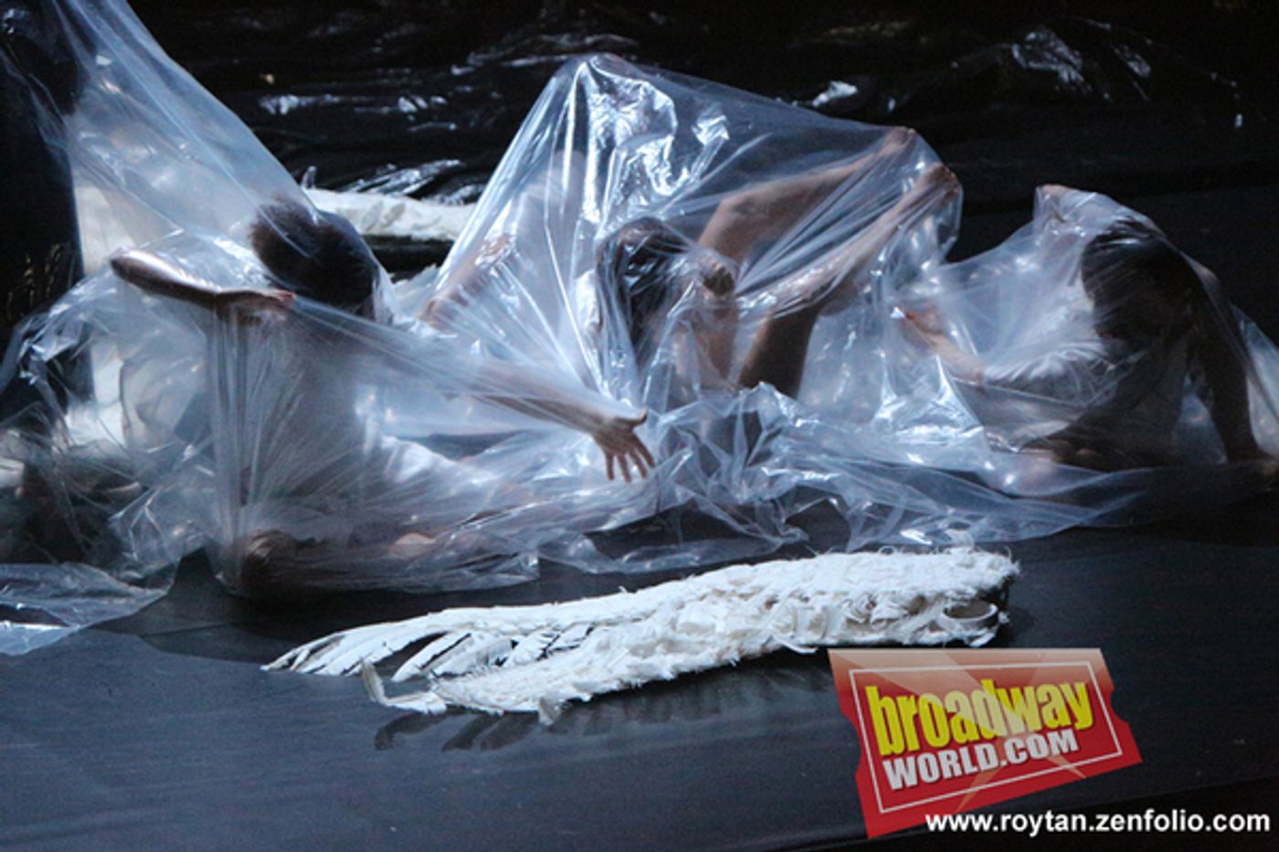 Photo Flash: SWAN LAKE at Sadler's Wells Theatre Photo Flash: SWAN LAKE at Sadler's Wells Theatre Image