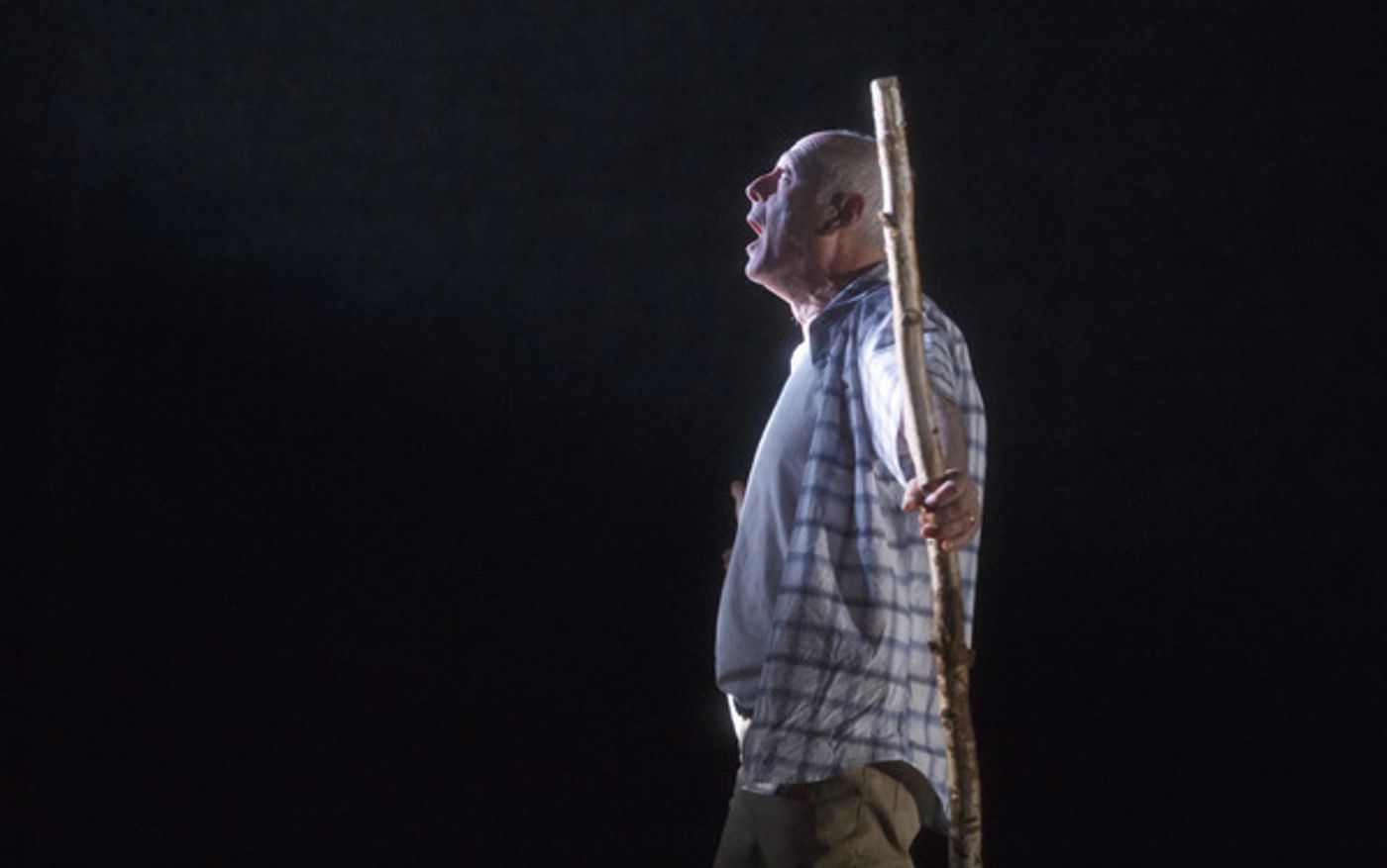 Photo Flash: First Look RANCHO VIEJO at Playwrights Horizons  Image