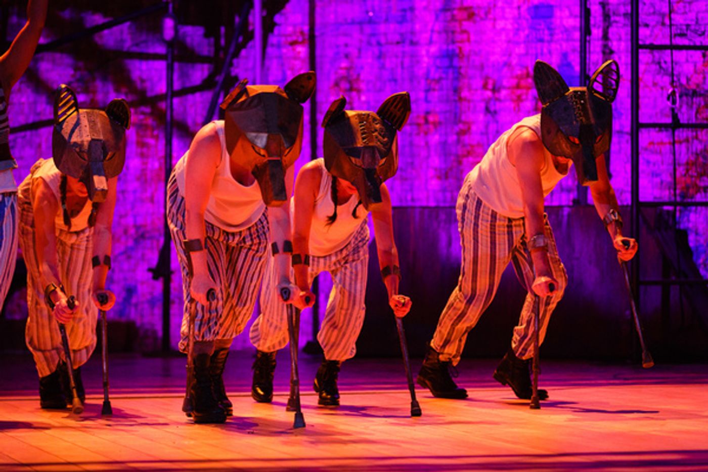 Photo Flash: A First Look at PETER PAN at the National Theatre  Image