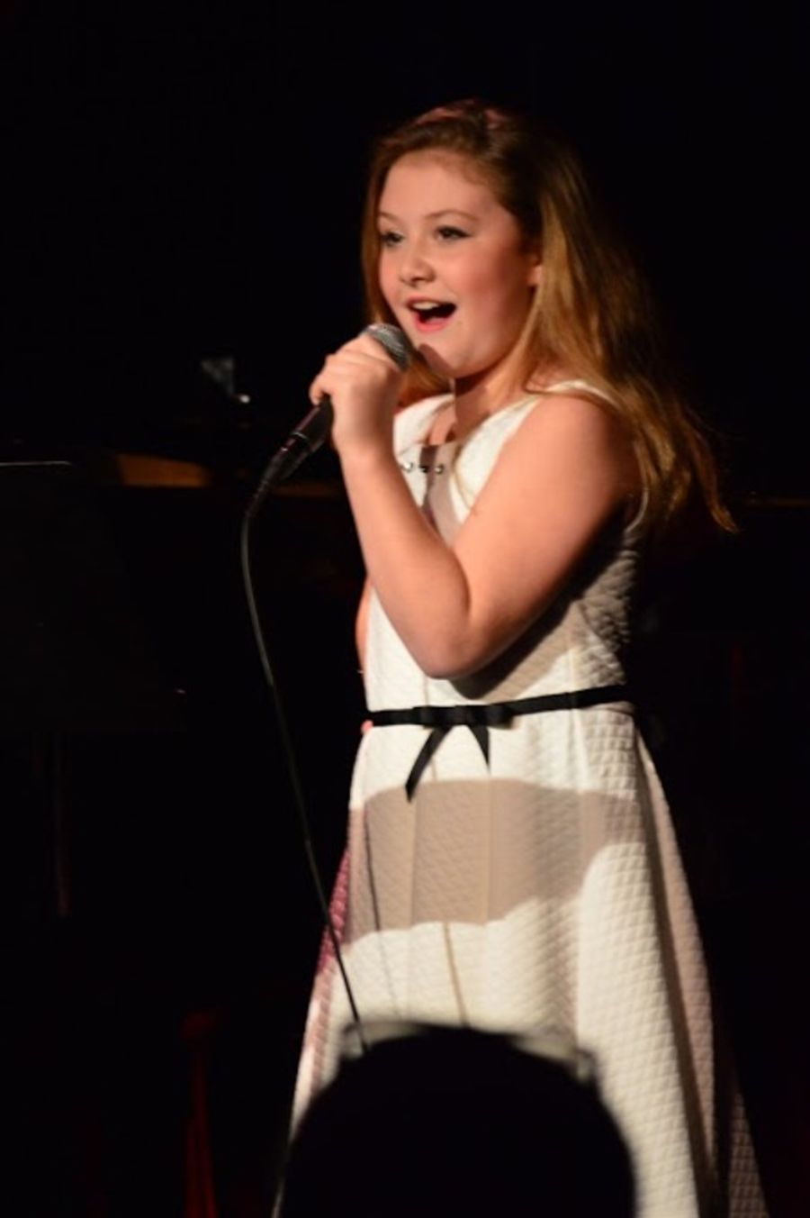 Photo Flash: CABARET FOR A CAUSE Presented at The Cutting Room Image