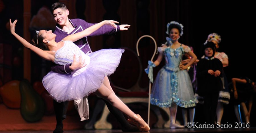 BWW Preview: THE NUTCRACKER at The Amoss Center Image