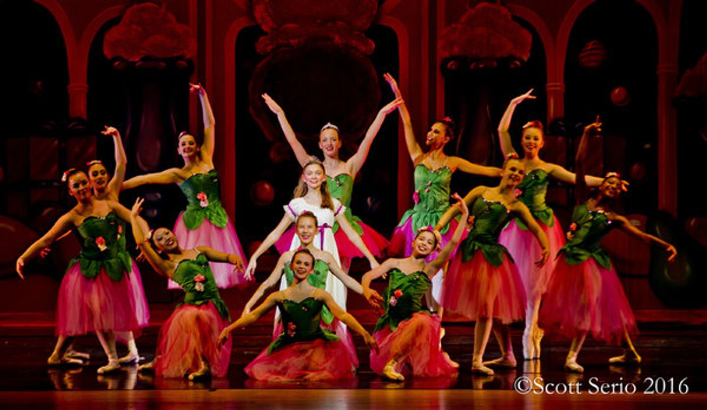 BWW Preview: THE NUTCRACKER at The Amoss Center  Image