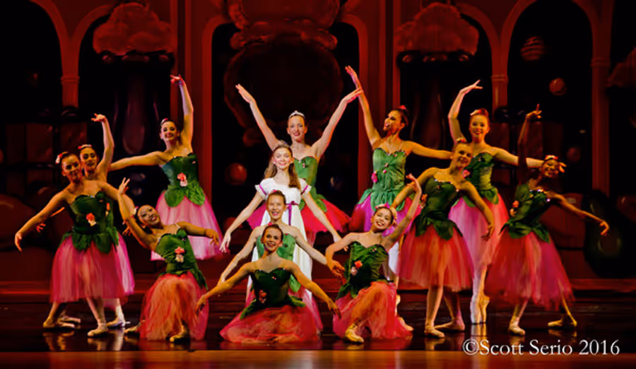 BWW Preview: THE NUTCRACKER at The Amoss Center Image