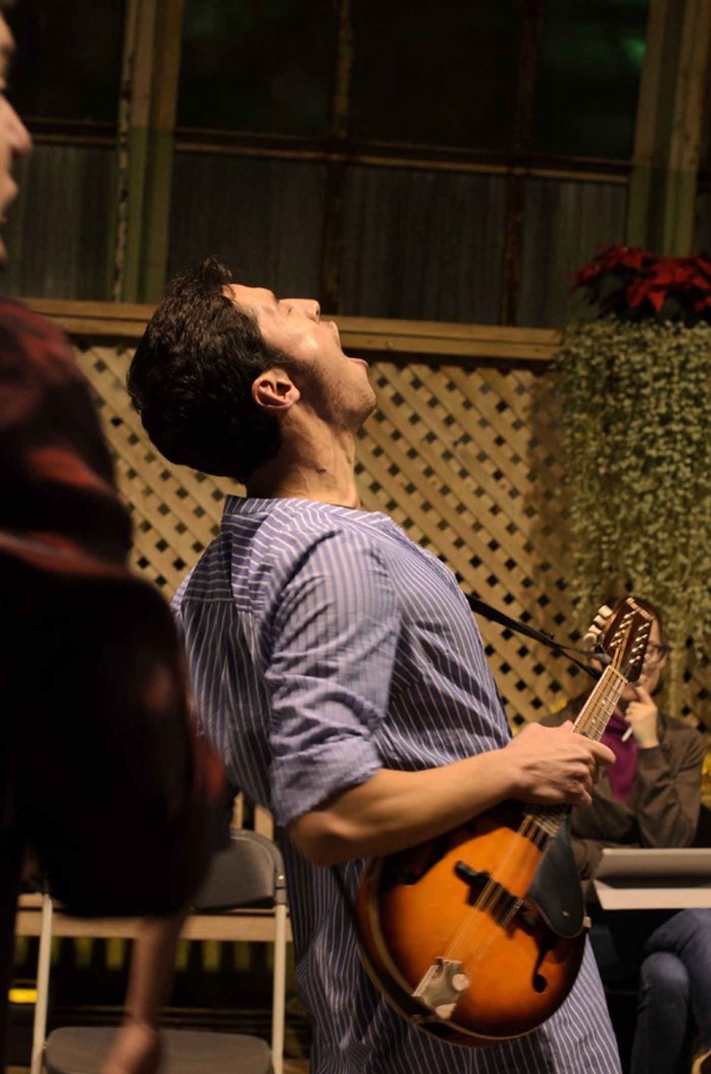 Photo Flash: First Look at Midsommer Flight's TWELFTH NIGHT, Opening Tonight at Lincoln Park Conservatory Photo Flash: First Look at Midsommer Flight's TWELFTH NIGHT, Opening Tonight at Lincoln Park Conservatory Image