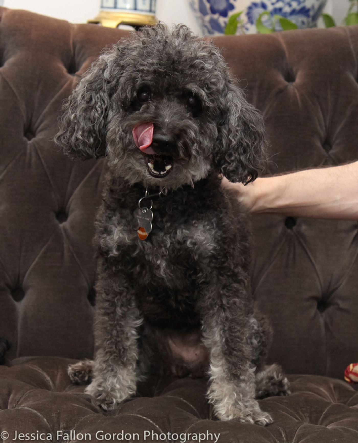 BWW Exclusive: TAILS OF BROADWAY- Beowulf Boritt Gets Hugs from Hermione  Image