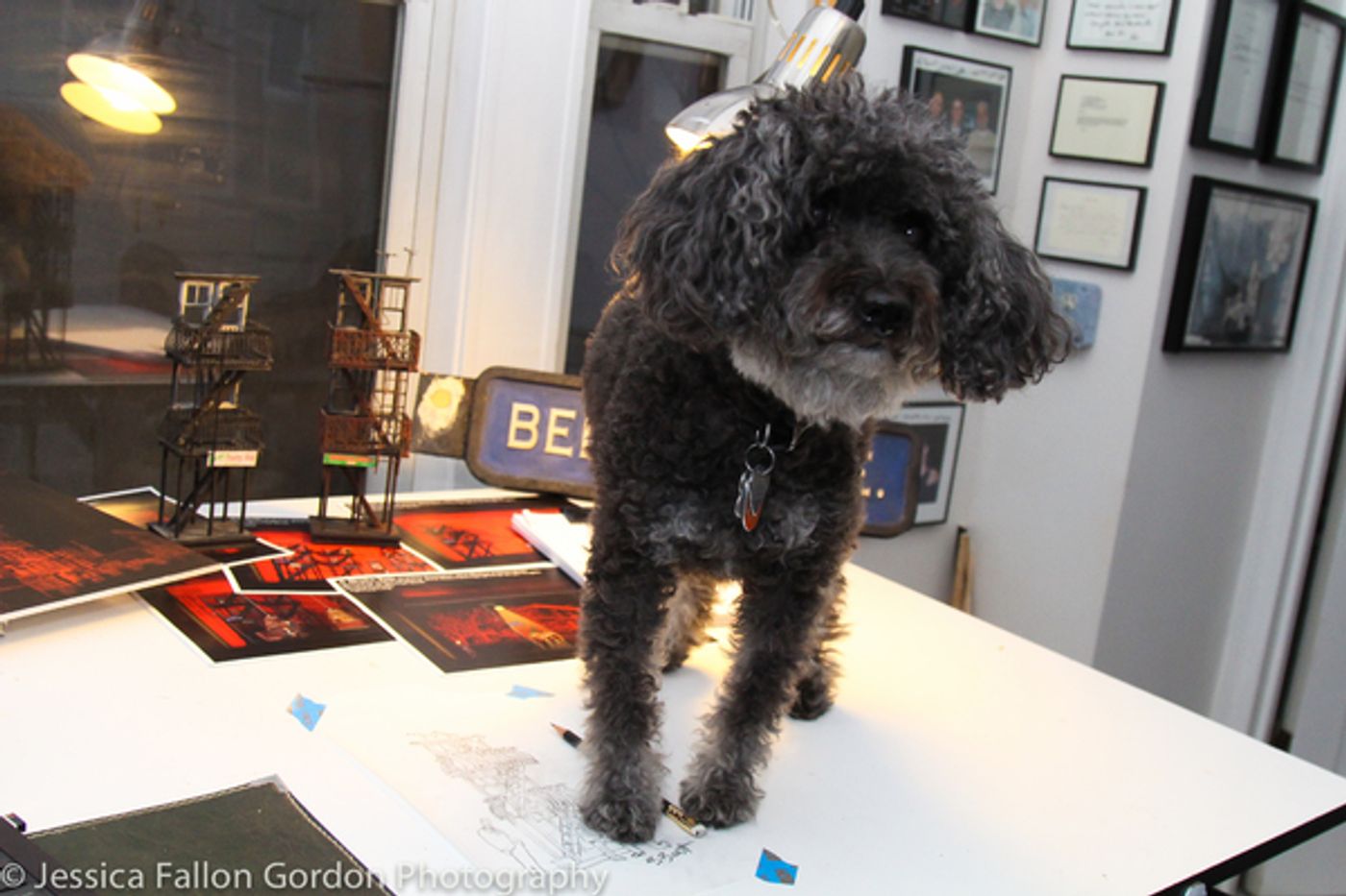 BWW Exclusive: TAILS OF BROADWAY- Beowulf Boritt Gets Hugs from Hermione  Image