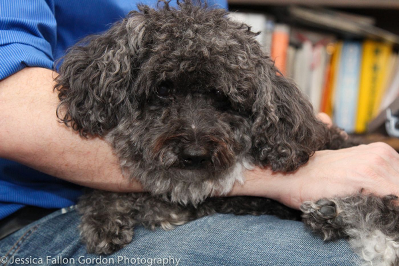 BWW Exclusive: TAILS OF BROADWAY- Beowulf Boritt Gets Hugs from Hermione  Image