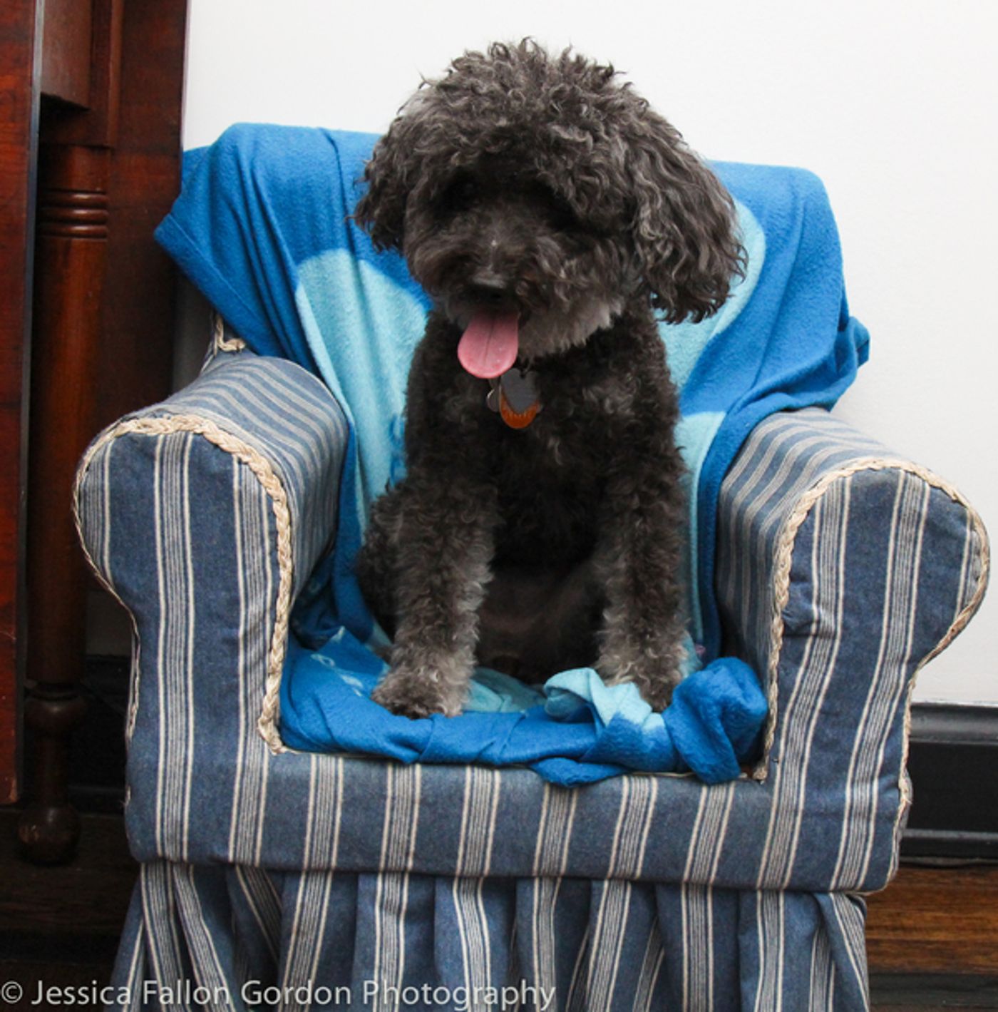 BWW Exclusive: TAILS OF BROADWAY- Beowulf Boritt Gets Hugs from Hermione  Image