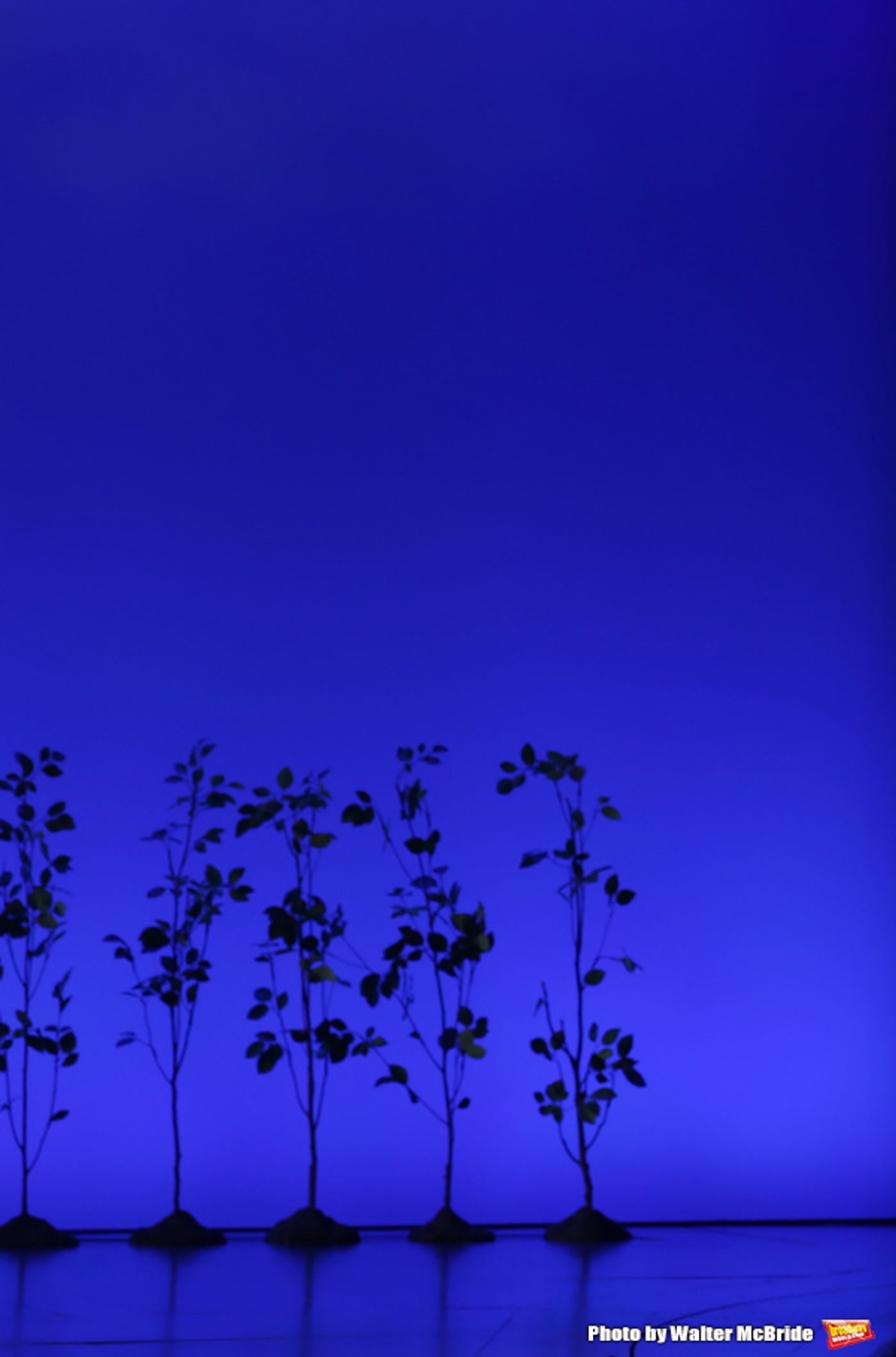 Photo Coverage: DEAR EVAN HANSEN Takes Opening Night Broadway Bows! Photo Coverage: DEAR EVAN HANSEN Takes Opening Night Broadway Bows! Image