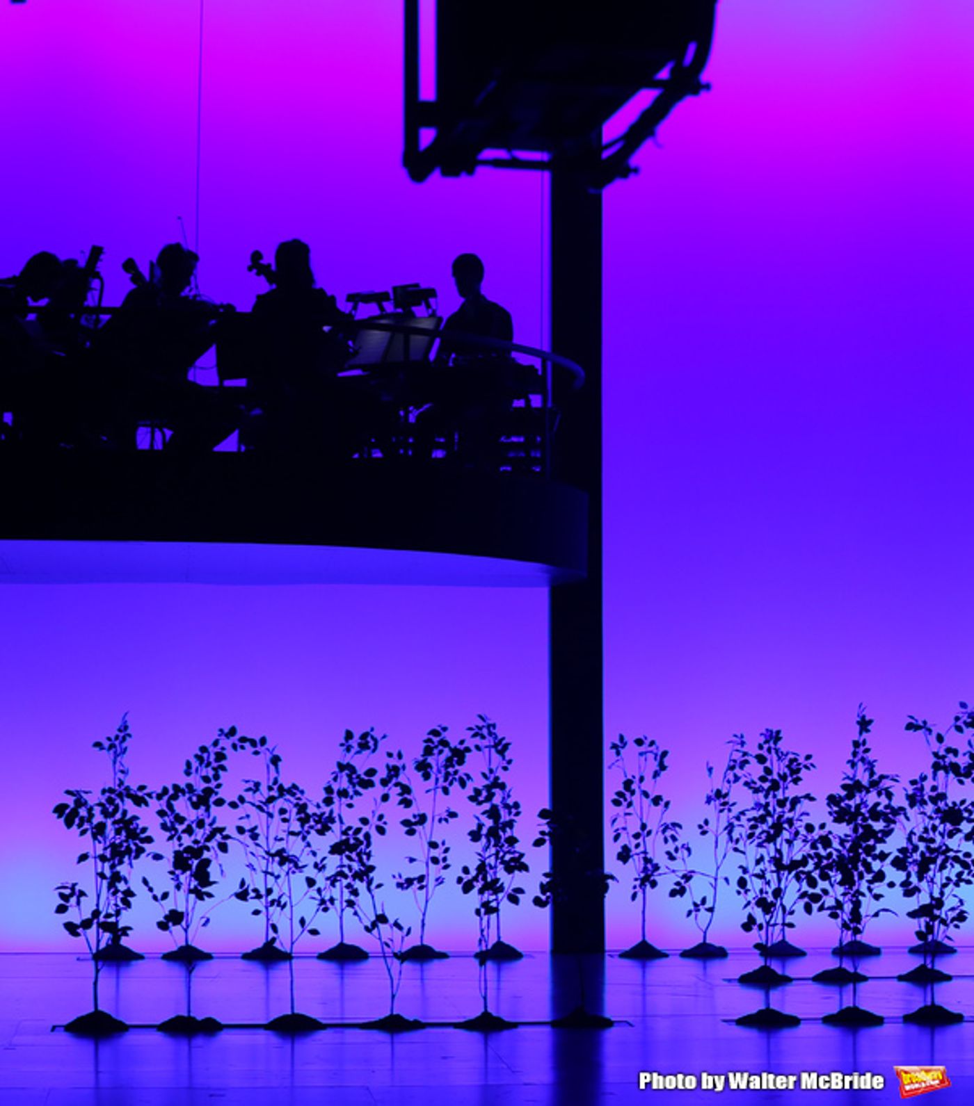 Photo Coverage: DEAR EVAN HANSEN Takes Opening Night Broadway Bows! Photo Coverage: DEAR EVAN HANSEN Takes Opening Night Broadway Bows! Image