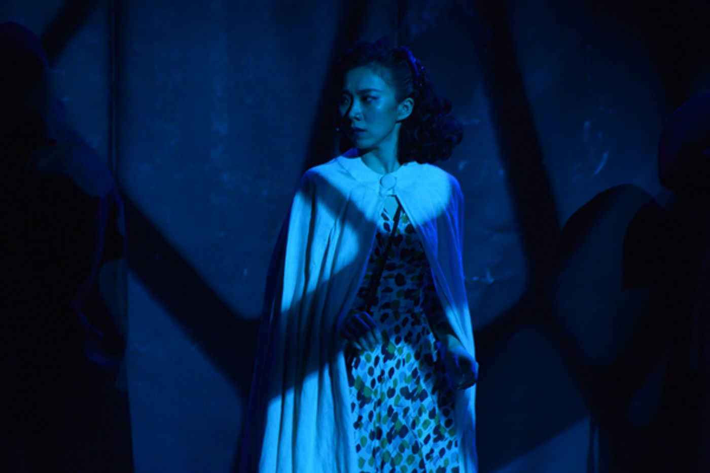 Photo Coverage: Richard Kind Helps SHIMMER Shine at Edison Ballroom  Image