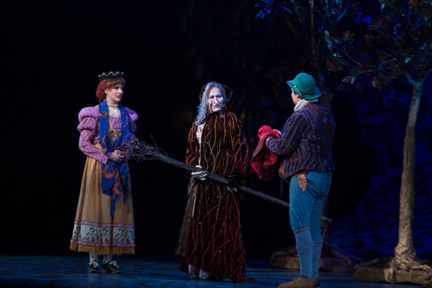 Photo Flash: First Look at Emily Skinner, Nick Bailey, Jeremy Hays and More in INTO THE WOODS at TUTS  Image